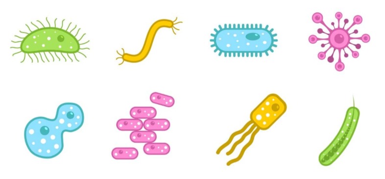Graphic illustration of microbes of different sizes, shapes and colors. 